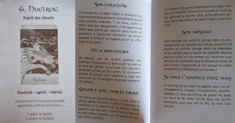 Livret de l'Oracle des Êtres Elémentaires