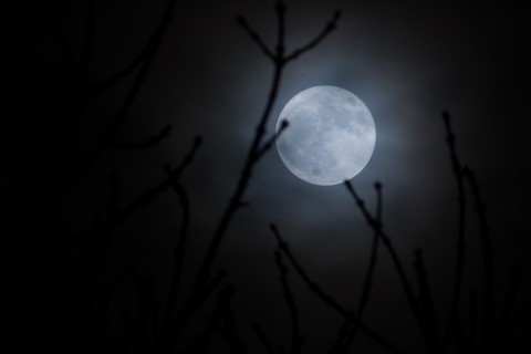 pleine lune