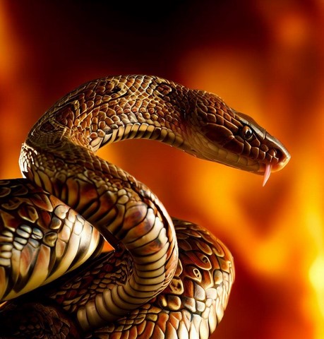 Serpent de Feu