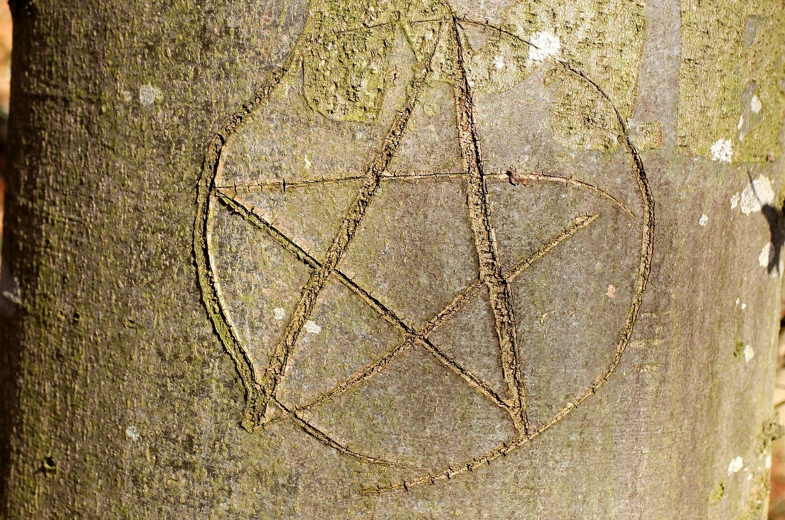 Pentacle & Pentagramme